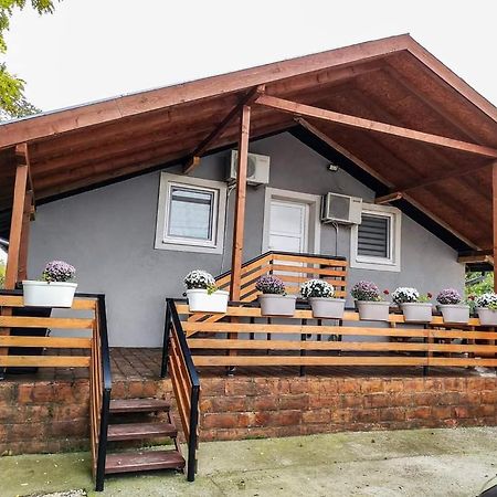 S. A. L. Prenociste Daire Beçkerek Dış mekan fotoğraf